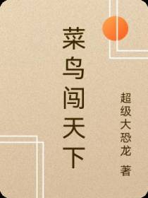 菜鸟闯天下