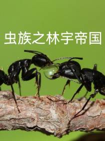 虫族之林宇帝国