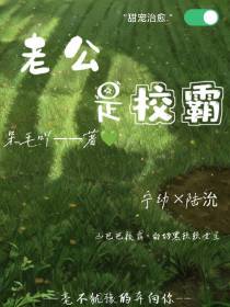不是吧！我的绅士老公竟然是校霸