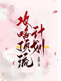 攻略顶流计划
