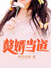 赘婿当道（又名：神都猛虎,主角：岳风）