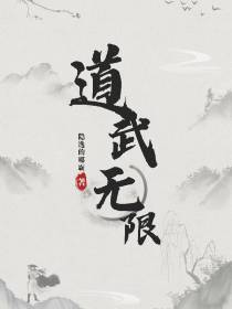 道武无限