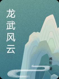 龙武风云