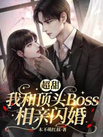 超甜,我和顶头Boss相亲闪婚