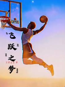 飞跃之梦