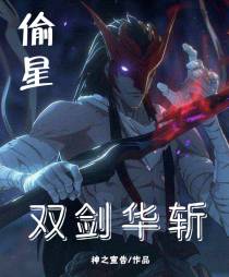 偷星,双剑华斩