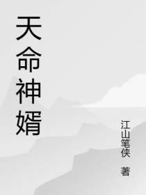 天命神婿