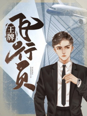 王牌飞行员