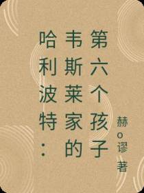 哈利波特：韦斯莱家的第六个孩子
