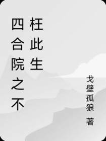 四合院之不枉此生