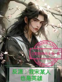 反派：我宋某人也是英雄