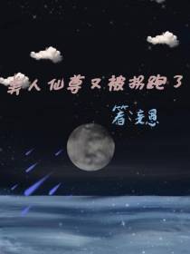美人仙尊又被拐跑了
