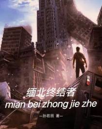 缅北终结者