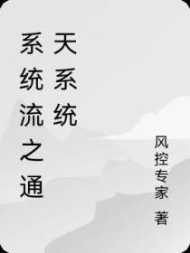 系统流之通天系统