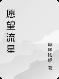 愿望流星