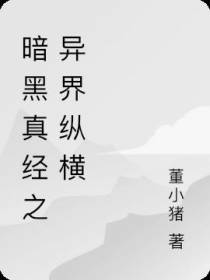 暗黑真经之异界纵横