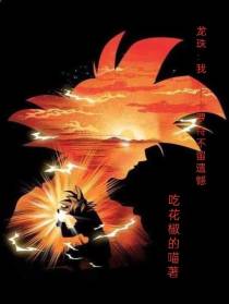 龙珠：我,卡卡罗特不留遗憾