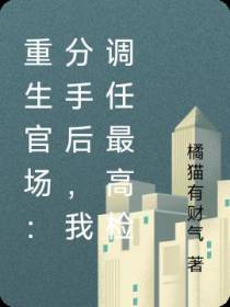 重生官场：分手后,我调任最高检