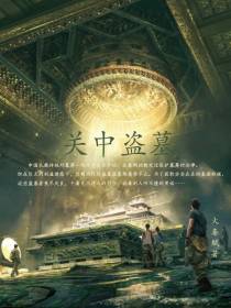关中盗墓