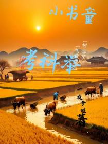 小书童考科举