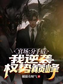 官场：分手后,我逆袭权势巅峰