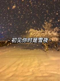 初见你时是雪夜
