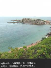 带着空间穿越六零嫁海岛军官