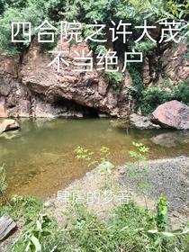 四合院之许大茂不当绝户