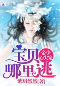 帝少心尖宠：宝贝，哪里逃