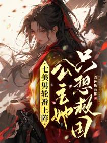 七美男轮番上阵,公主她只想救国