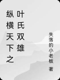 纵横天下之叶氏双雄