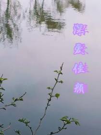 深爱佳颜