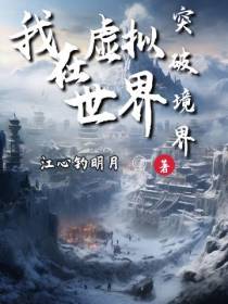 我在虚拟世界突破境界