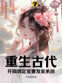 大周布衣枭雄