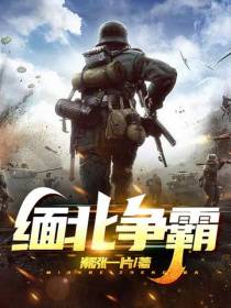 缅北争霸