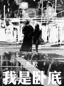 抱歉我是卧底