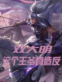 双大明,这个王爷真造反