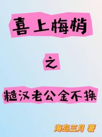 喜上梅梢之糙汉老公金不换