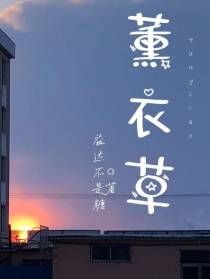 薰衣草