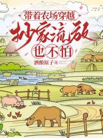 带着农场穿越，抄家流放也不怕
