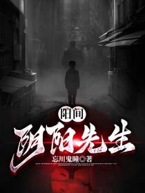 阳间阴阳先生