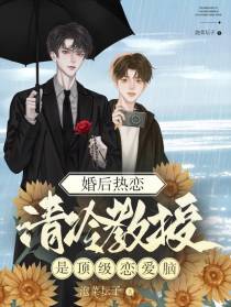 婚后热恋,清冷教授是顶级恋爱脑