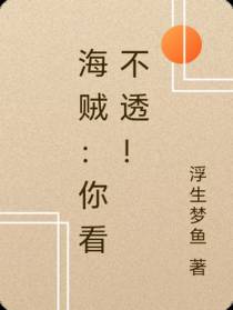 海贼：你看不透！