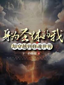 身为圣体的我却穿越到修魂世界