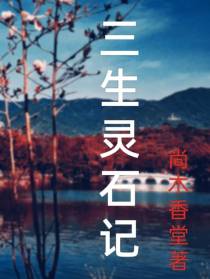 三生灵石记