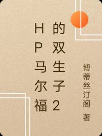HP马尔福的双生子2