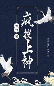 疯披上神是我夫君