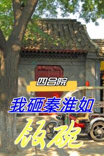 四合院：我砸秦淮如饭碗