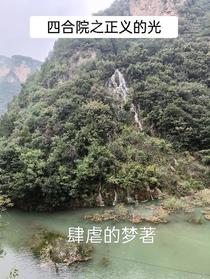 四合院之正义的光