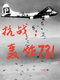 抗战之轰炸731